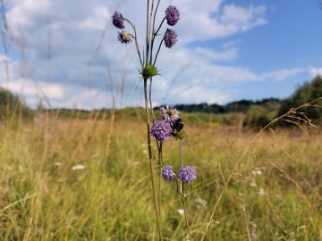 Prywatna wycieczka z przewodnikiem po Bolimowskim Parku Krajobrazowym z finału WOŚP 2025, 